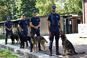 Arrestati due spacciatori in via Gola con oltre mezzo etto di cocaina