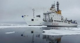 naveartica
