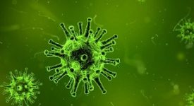 M5S Lombardia chiede Fibromialgia nei Lea