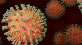 Covid: 34 morti e 2.799 positivi Coronavirus: meno di mille contagi in un giorno Coronavirus: - 246 ricoverati e il rapporto/tamponi positivi scende al 12,2% Coronavirus: i valori rimangono stabili Covid: scende di oltre 3 punti il rapporto fra tamponi e nuovi positivi Rischio paralisi: le direzioni sanitarie evitano i malati Covid