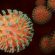 Covid: 34 morti e 2.799 positivi Coronavirus: meno di mille contagi in un giorno Coronavirus: - 246 ricoverati e il rapporto/tamponi positivi scende al 12,2% Coronavirus: i valori rimangono stabili Covid: scende di oltre 3 punti il rapporto fra tamponi e nuovi positivi Rischio paralisi: le direzioni sanitarie evitano i malati Covid