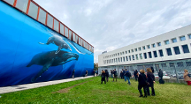 Nuovo murales per la Piscina Procida