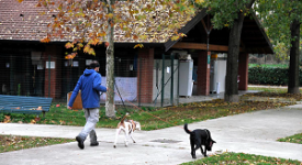 Partono i corsi per il Patentino cane speciale