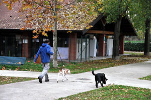Partono i corsi per il Patentino cane speciale