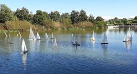 regata velica