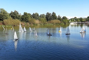regata velica