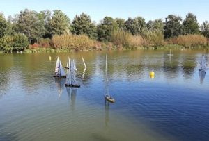 regata velica