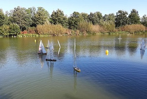 regata velica