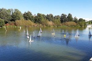 regata velica