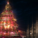 Diciotto alberi illuminano le feste all'insegna della sostenibilità