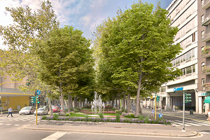 Viale Jenner: nuova vita per l'aiuola centrale