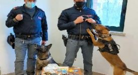 Trovati due chili e mezzo di droga in un bar di via Parea