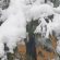 milano s'imbianca di neve