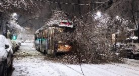 Osnato (FdI): decine di dipendenti ATM ostaggio di un albero come i milanesi lo sono di Sala