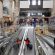 Madre e figlia molestate da un Gambiano in Stazione Centrale