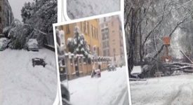 De Chirco (FI): dal modello Milano al modello pantano