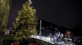 Acceso l'albero davanti all'ospedale in Fiera