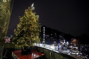 Acceso l'albero davanti all'ospedale in Fiera