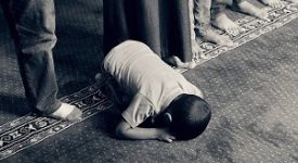grazie sala per la moschea