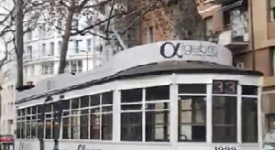 Sardone: tram bloccato da albero pericolante già segnalato