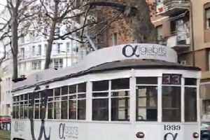 Sardone: tram bloccato da albero pericolante già segnalato