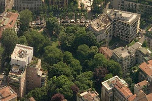 Il Comune chiede a MM uno studio per la gestione del verde