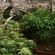 Scoperta serra di marijuana e arrestato spacciatore