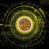 Le cryptomonete frenano