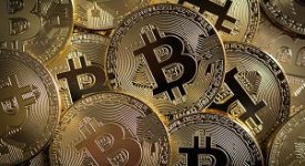 In salita Doge e ADA, oscillano Bitcoin ed Ethereum