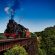train