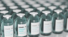 vaccini