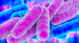 De Corato (FdI): legionella in caserma della Locale