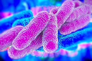 De Corato (FdI): legionella in caserma della Locale