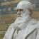 darwin