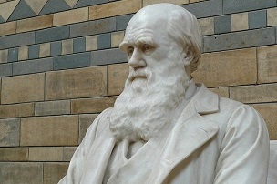 darwin