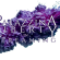 Palazzina Liberty: dodici concerti in diretta streaming su yesmilano.it