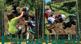 Scuola Forestami: progetto di formazione sulla forestazione urbana