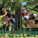 Scuola Forestami: progetto di formazione sulla forestazione urbana