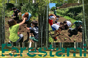 Scuola Forestami: progetto di formazione sulla forestazione urbana