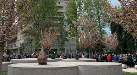 Piazza Piola, inaugurato il giardino Teresa Pomodo