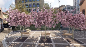 Una nuova piazza tra via Porlezza e via Giulini
