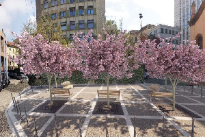 Una nuova piazza tra via Porlezza e via Giulini