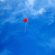 cielo