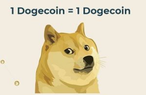 doge crypto