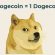 doge crypto