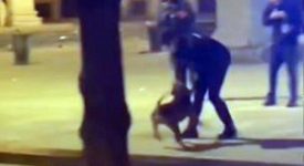 Carabiniere azzannato spara al cane di uno spacciatore marocchino