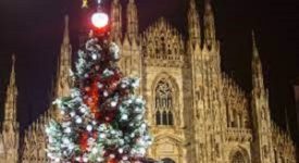 Anche nel 2021 il Natale degli Alberi