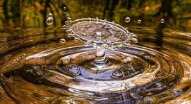 sala beppe acqua pubblica