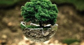 Ambiente, al via tre incontri dal 25 maggio al 3 giugno per le imprese nell'edilizia, nel packaging, nell'energia
