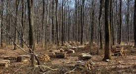 Arriva un bando per incentivare l’economia circolare